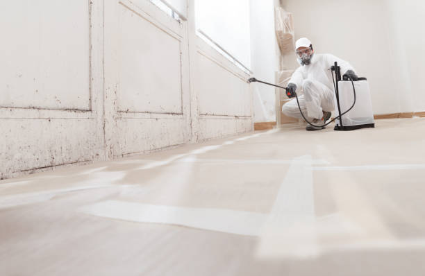 24/7 Emergency Mold Remediation experts in Clinton, MD