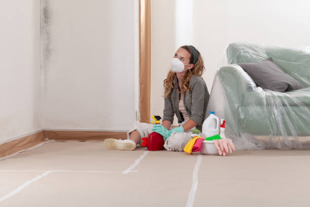 Reliable Mold Remediation contractor in Clinton, MD by Mold Remediation HQ